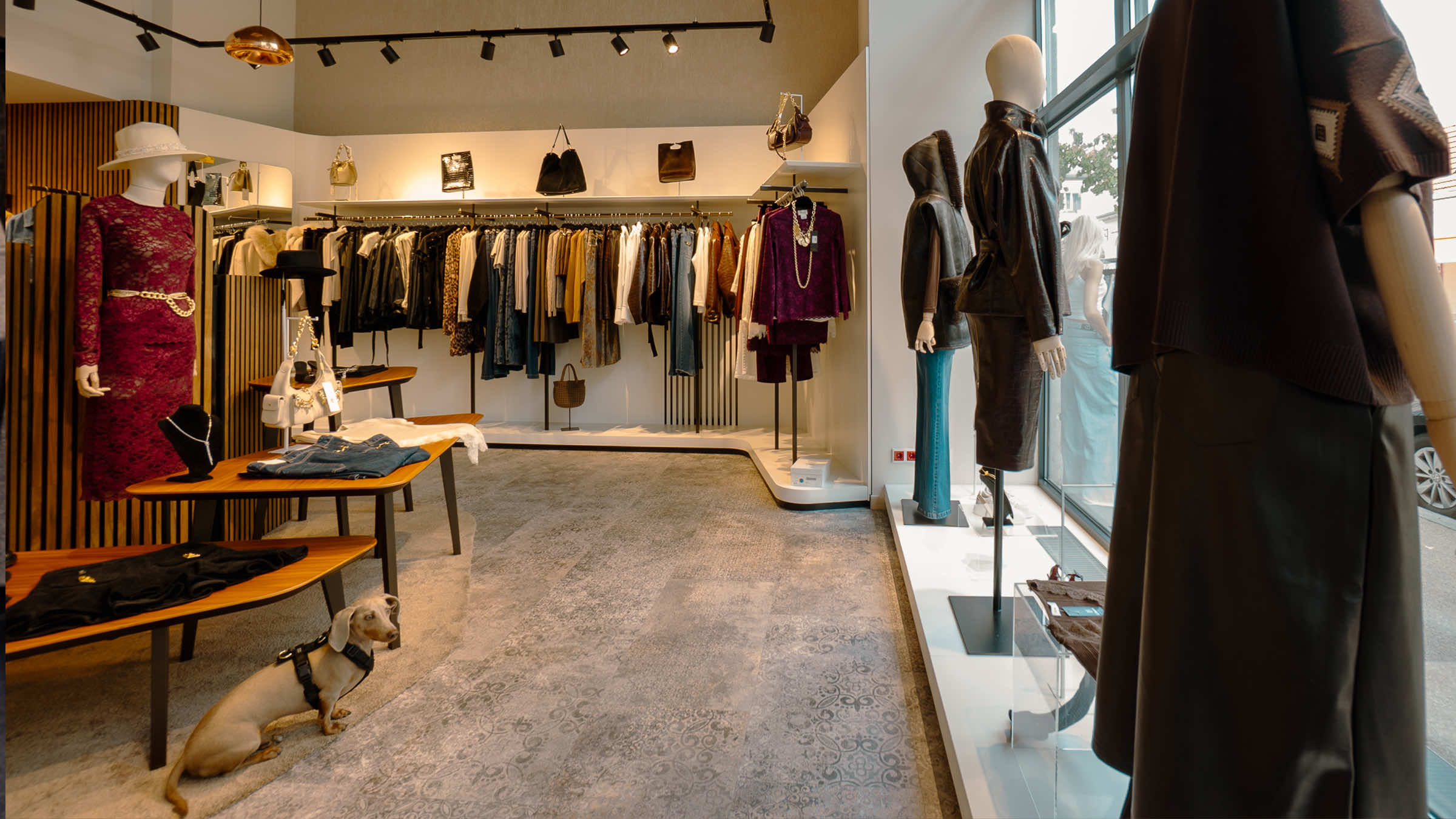 Verkaufsraum der LIMAA Boutique in Baden mit Kleiderstangen und Taschen; im Vordergrund sitzt ein Dackel auf dem Teppich